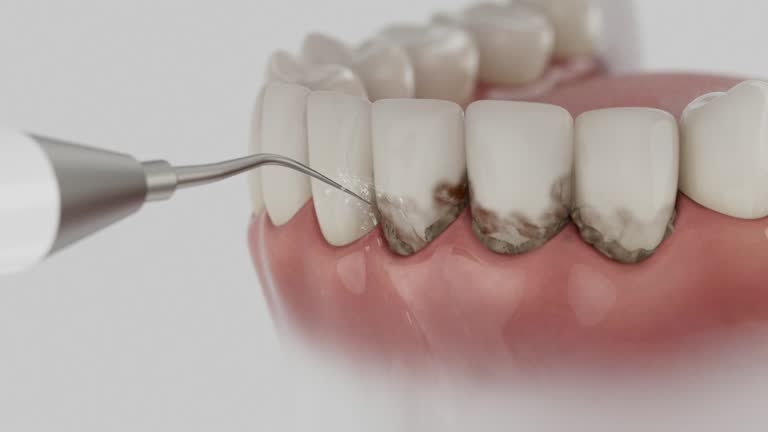 Reliable Dental contractor in Bon Aqua Junction, TN by Dentist Open Now